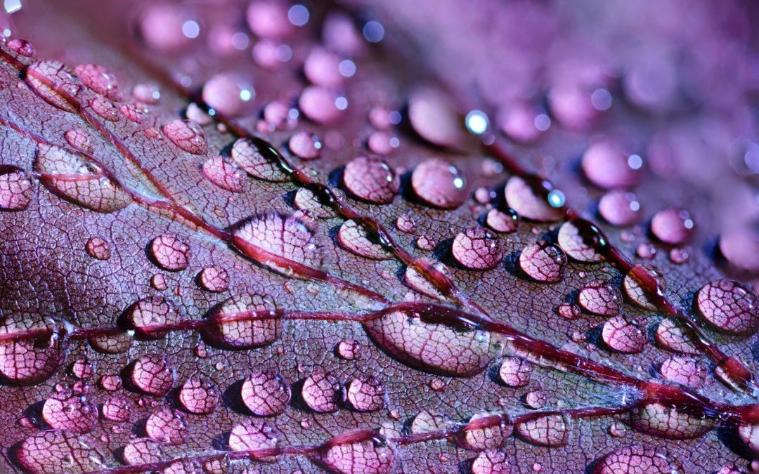 Welcome to the World of Texture